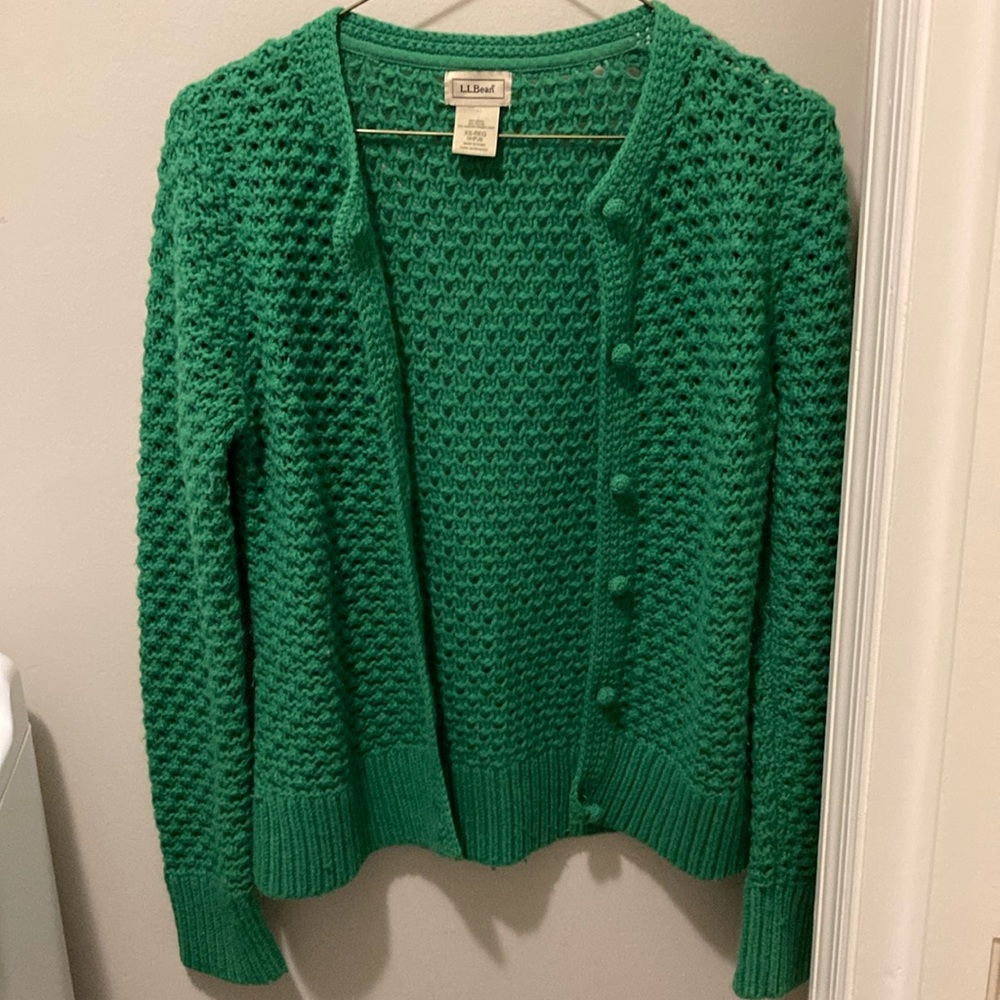 Gorgeous green knit LL Bean sweater